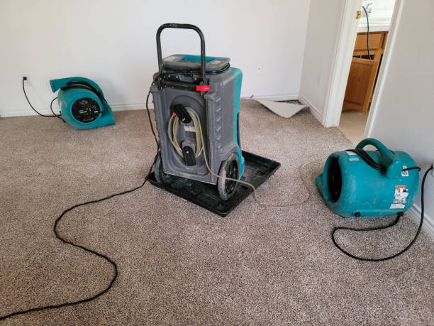 Best Water damage contractors near me  in Waskom, TX