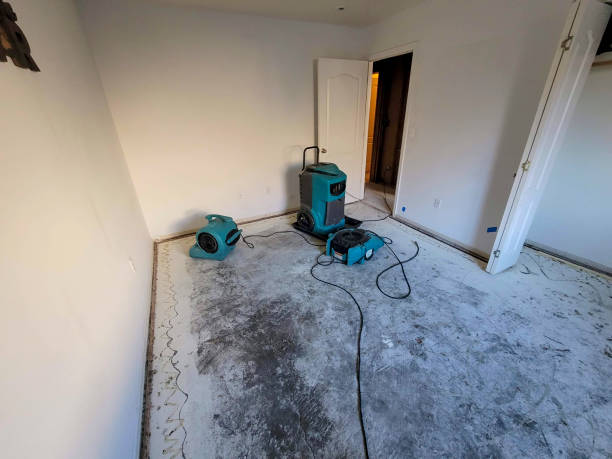Best Sewage cleanup and water damage restoration  in Waskom, TX