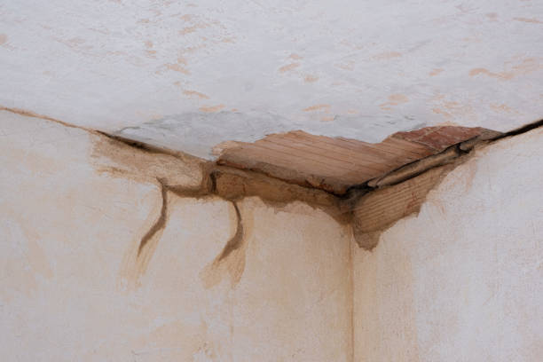  Waskom, TX Water damage restoration Pros