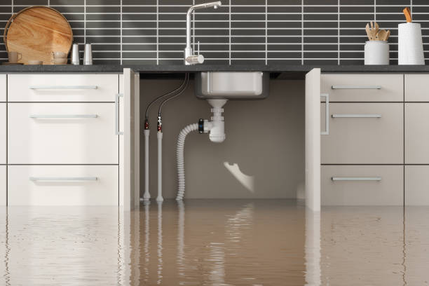 Best Carpet water damage restoration  in Waskom, TX