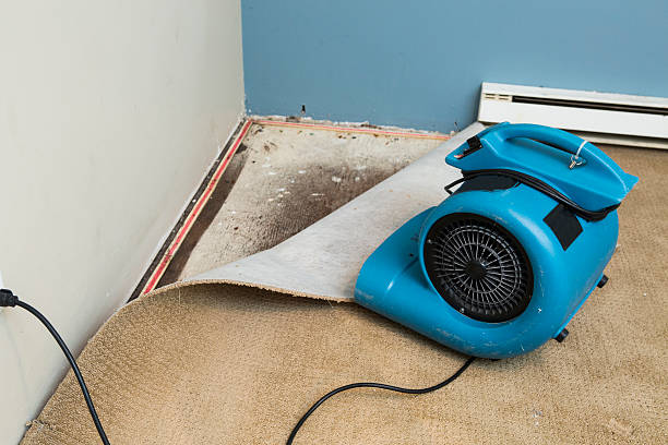 Best Basement water damage restoration  in Waskom, TX